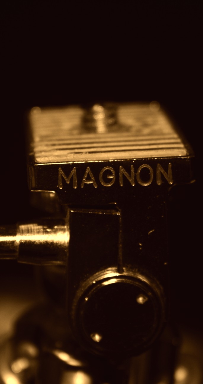 Magnon - The Head
